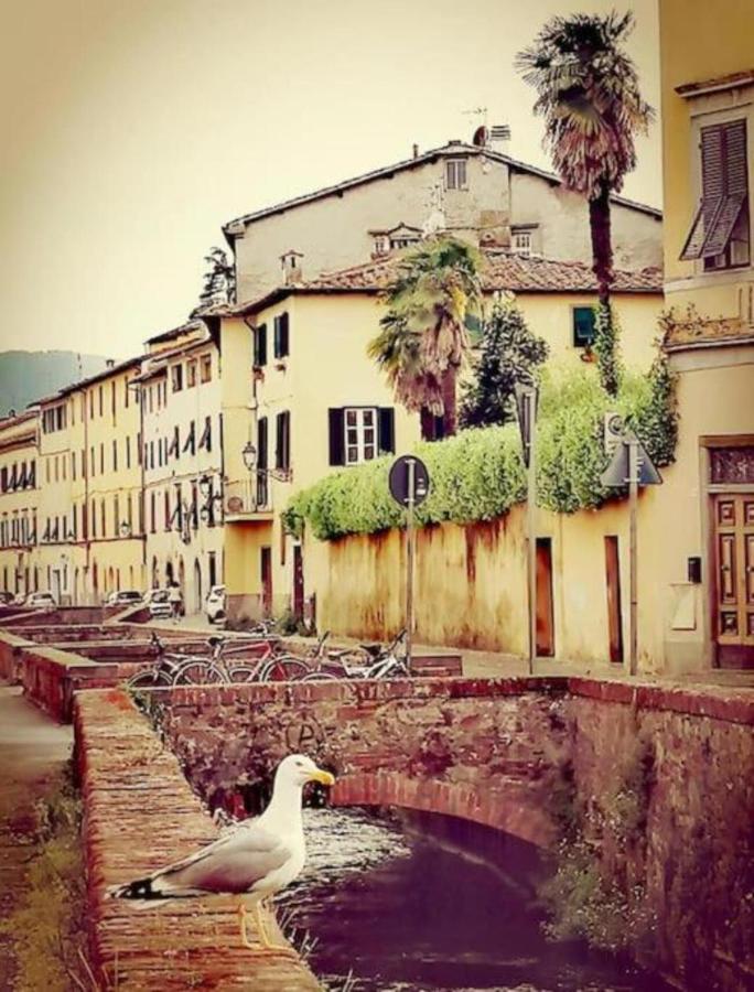 Lo Stellario Di Lucca Exterior foto